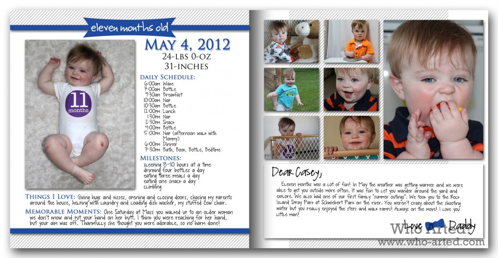 Baby Book Ideas Monthly Milestones